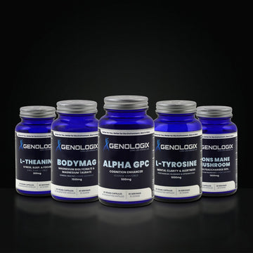 Executive Focus Stack — Brain & Body Optimized